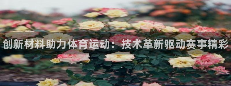 公海赌赌船官网下载招商:创新材料助力体育运动:技术革新驱动赛