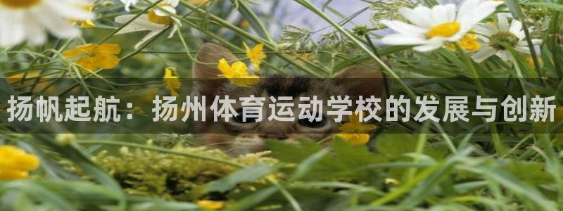 公海赌赌船官网下载招商电话号码:扬帆起航:扬州体育运动学校的