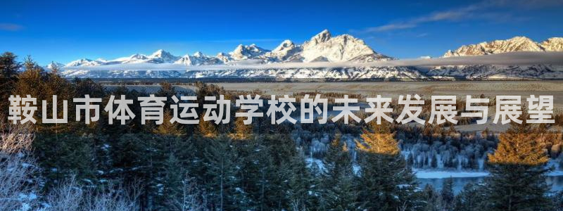 公海赌赌船官方正版app集团E.ON:鞍山市体育运动学校的未